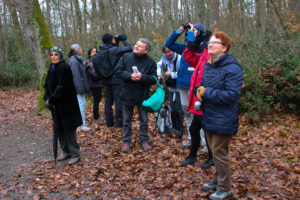 sortie-oiseaux-28-janvier-3