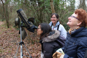 sortie-oiseaux-28-janvier-10